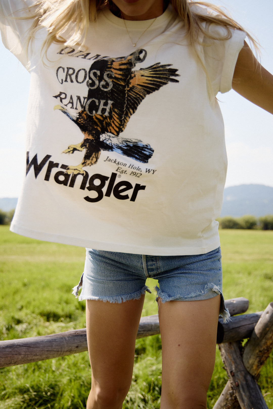 Wrangler x DCR