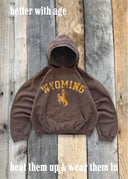 Diamond cross ranch Wyomin Classic Hoodie