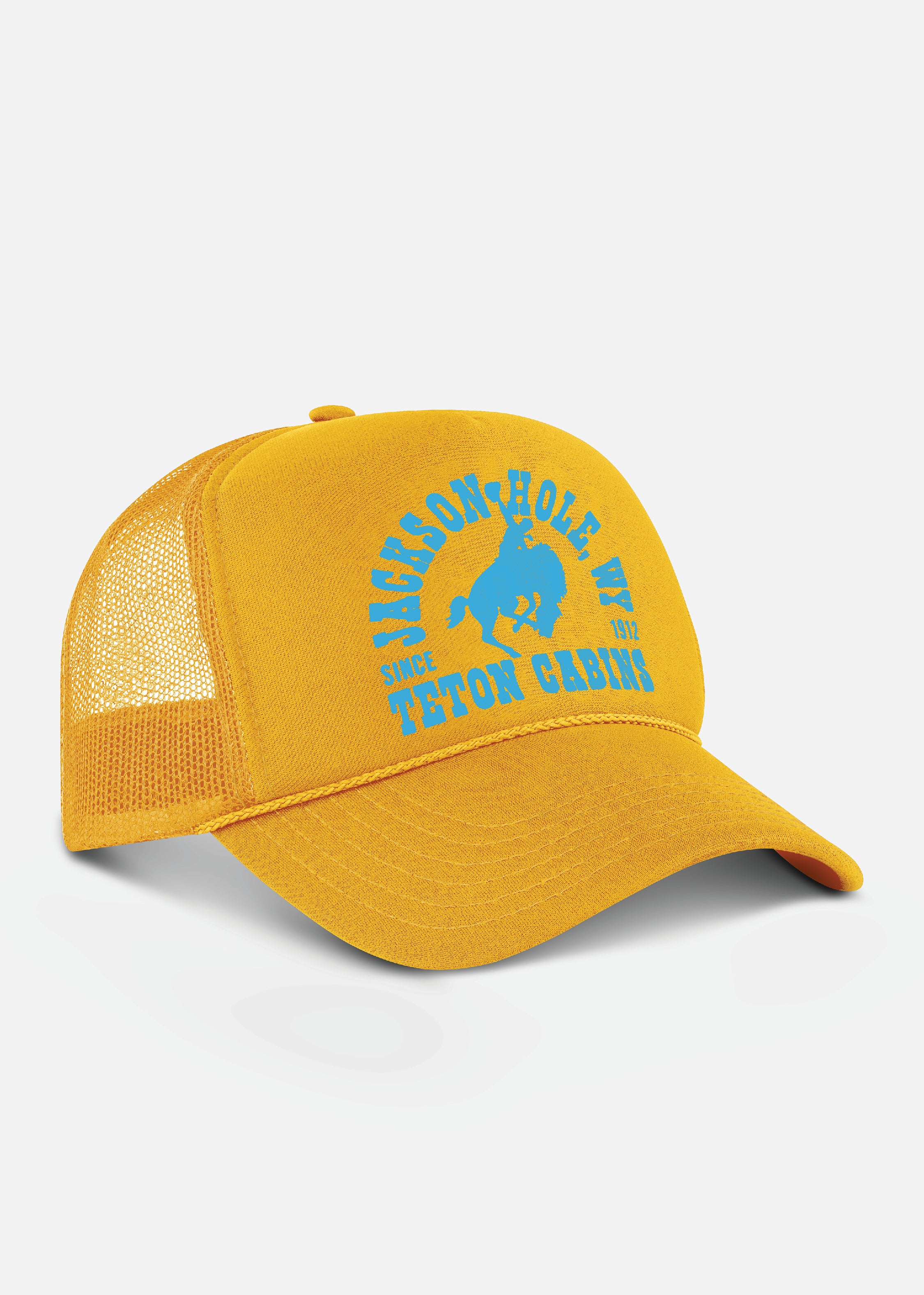 Diamond cross ranch Buckin Trucker cap