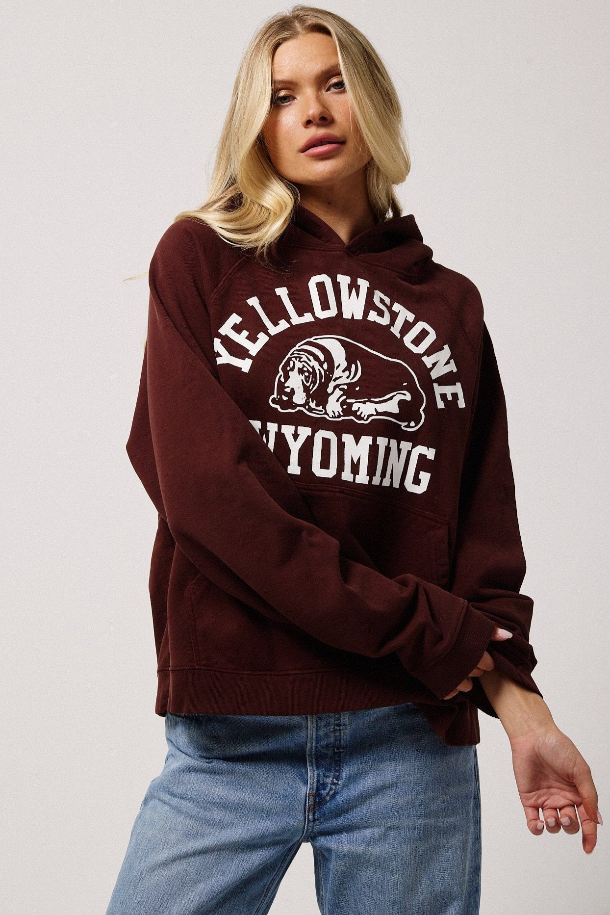 Yellowstone Hoodies