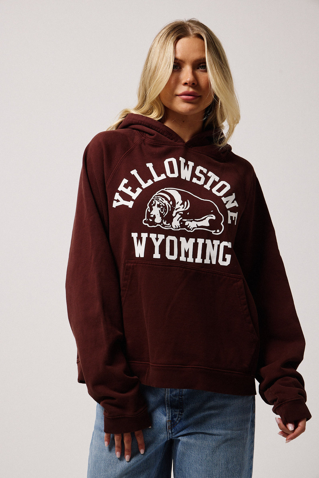 Yellowstone Hoodies