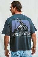 Diamond cross ranch Mountain Cowboy  t-shirt